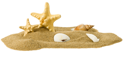 Starfish and seashells in a pile of sand isolated on a transparent background. Completely in focus. Focus stacking.