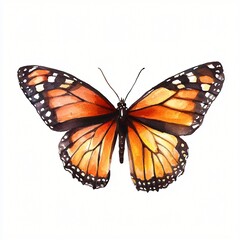 Vibrant Watercolor Monarch Butterfly Illustration Detailed Wing Design Insect Art