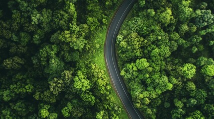 Aerial view of a winding road through a lush green forest