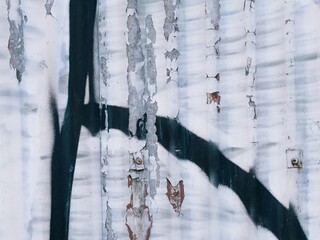 Severely weathered corrugated iron sprayed with grafitti
