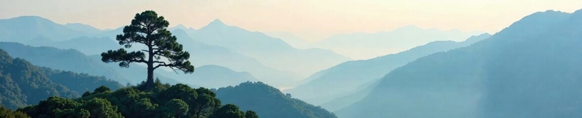 Obraz premium Towering pine tree on a hilltop amidst misty mountains, misty, trees