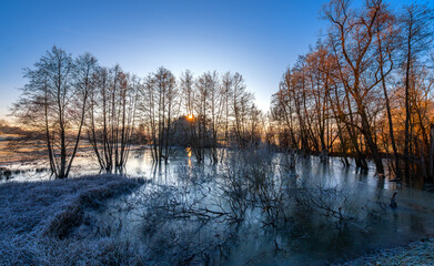Colorful sunrise panorama in rural winter scenery near Tübingen (Germany). Trees stand in the water of a frozen lake dammed up by a beaver (Castoridae). Idyllic morning atmosphere in December.