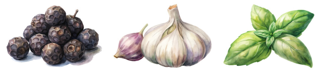 Fresh blackberries, garlic cloves, vibrant basil leaves, watercolor illustration, culinary ingredients, natural food art.