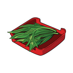 Isolated water spinach or morning glory in red plate, vegetables vector hand drawing illustration,Green leaves and whole part of water spinach on white background.Hight fiber food,hot pot ingredients.