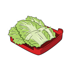 Isolated Chinese Cabbage in red plate, vegetables vector hand drawing illustration, cutting part of Chinese cabbage on white background.Hight fiber food, hot pot ingredients.
