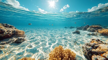 Fototapeta premium Illustration - Underwater Scene Coral Reef Fish Sunlight Ocean Sea Tropical Marine Life