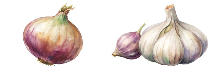 Fototapeta premium Watercolor onion illustration, garlic bulb art, fresh produce design, botanical style, kitchen decor, culinary artwork.
