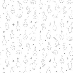 Goose Seamless Pattern. Cute Cartoon geese, Vector Illustration Background.