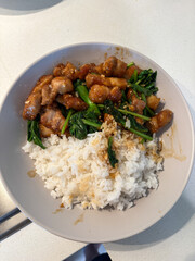 Pork and kai lan stir fry with rice.