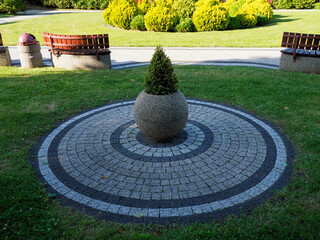 Obraz premium Circular Stone Pattern with Central Plant in a Park Setting Surrounded by Benches