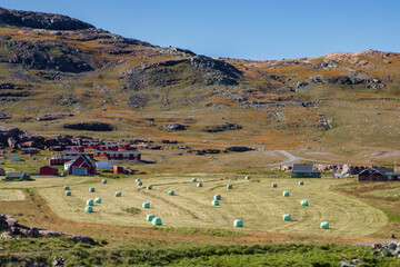 Fototapeta premium Beautiful town of Igaliku and surrounding area (South Greenland)