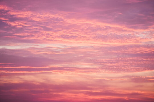 Sunset in the sky in pastel colors. Purple and pink sky with clouds in the evening. Nature background.

