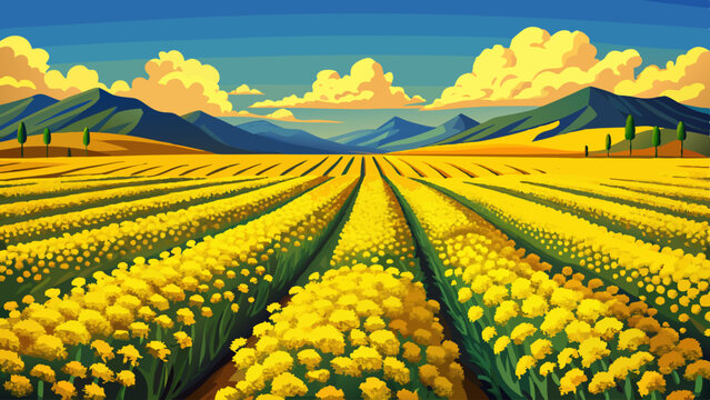 Multiple Rack Focuses of a Yellow Conola Oil Flower Field in Montana (Raw)