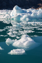 Icebergs and Qooqqup glaciar in Qooqqut fjord (South Greenland)