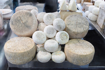 several different varieties of farmer's cheese lie on counter ready for sale