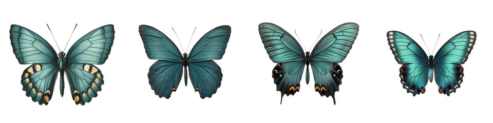 Fototapeta premium Magnificent close up view of a tropical butterfly in flight showcasing its vibrant green and blue patterned wings against a natural leaf backdrop