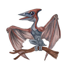 Watercolor illustration of cartoon pteranodon isolated on white background © Yuliia