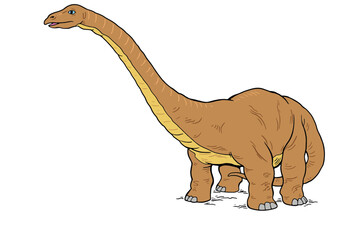 Brontosarus Vector Illustration