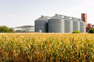 agro silos granary elevator with seeds cleaning line on agro-processing manufacturing plant for processing drying cleaning and storage of agricultural products in rye corn or wheat field © Shkriabii