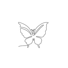 Butterfly continuous line art