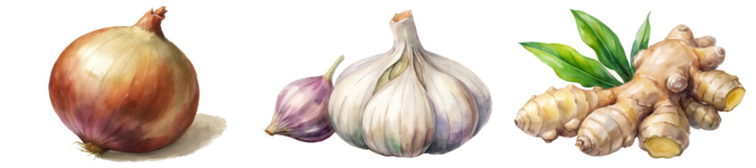 Fresh vegetables, watercolor illustration, onion and garlic, ginger root, culinary herbs, vibrant colors, natural textures.