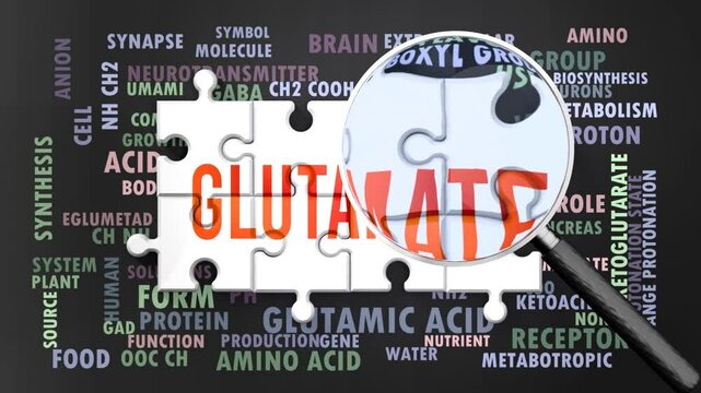 Glutamate under magnifying glass, being researched, studied and examined. Most important subjects and ideas closely related to glutamate written around a puzzle.Can be looped.