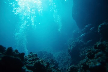 Divers investigate the clear blue waters of the ocean, discovering coral formations and various aquatic creatures in their natural habitat.