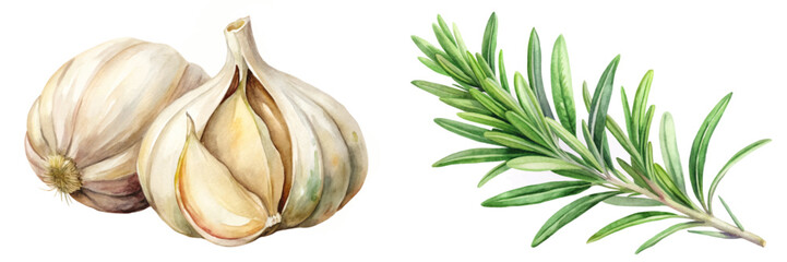Fresh garlic bulbs, aromatic rosemary sprigs, botanical illustration, culinary herbs, natural ingredients, healthy cooking.