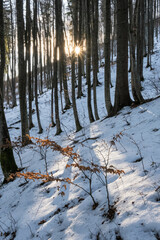 Big Fatra mountains, Slovakia, snowy landscape
