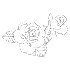 Rose Flower Line Art Vector Illustrationm