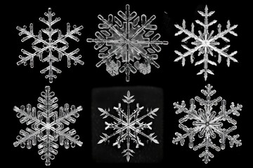 A Collection of Isolated Snowflakes