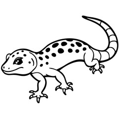 Tokay Gecko on white background