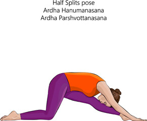 Woman practicing Ardha Hanumanasana yoga pose. Half Splits pose or Half Divine Monkey pose. Intermediate Difficulty. Isolated vector illustration.
