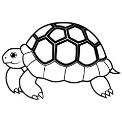 Fototapeta premium star-tortoise-on-white-background 
