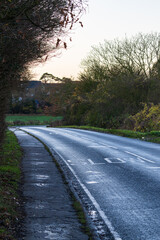 The country road through British woodland on a wet autumn day. Empty rural highway with tall poplar trees and evergreens lining the scenic route