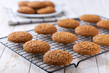 Oatmeal cookies are cooling after baking on a rack on a white table, selective focus.