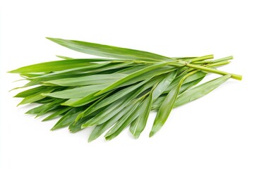 Fototapeta premium Palm leaves on a white background. a pile of green palm leaves on a white background with copy space. designed for Palm Sunday greeting illustration. Illustration for Palm Sunday 