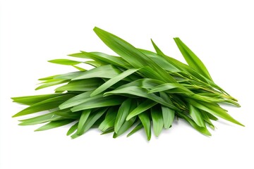 Fototapeta premium Palm leaves on a white background. a pile of green palm leaves on a white background with copy space. designed for Palm Sunday greeting illustration. Illustration for Palm Sunday 