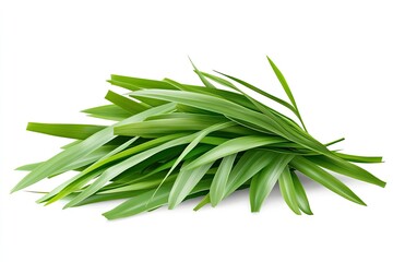 Fototapeta premium Palm leaves on a white background. a pile of green palm leaves on a white background with copy space. designed for Palm Sunday greeting illustration. Illustration for Palm Sunday 