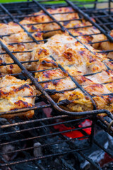 Grilled marinated chicken pieces on a barbecue grill with charcoal flames. Close-up of juicy chicken meat with golden-brown char marks showing the perfect grilling technique