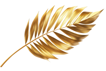 Golden brown leaf, white background, isolated on the edges isolated on transparent png or white background