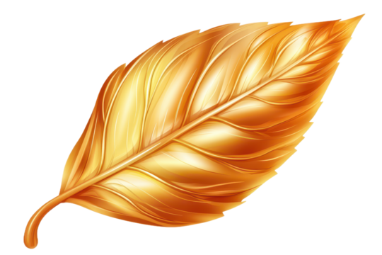 Golden brown leaf, white background, isolated on the edges isolated on transparent png or white background