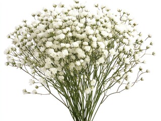Babys Breath Bouquet