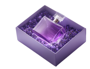 A rectangular perfume gift box with lavender flowers inside, isolated on transparent png or white background
