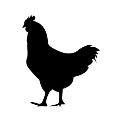 Silhouette of a chicken, rooster vector icon on a white background