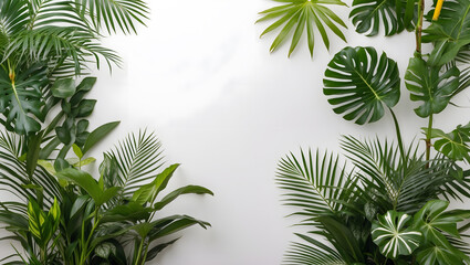Lush green tropical plants against a plain white background, are ideal for tropical-themed designs, nature posters, or botanical-themed graphics. Tropical foliage on a white backdrop