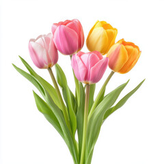 Naklejka premium vibrant bouquet of tulips in various colors, perfect for spring