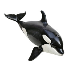 Obraz premium Isolated Porpoise on Clean transparent background Perfect for Creative Projects and Designs