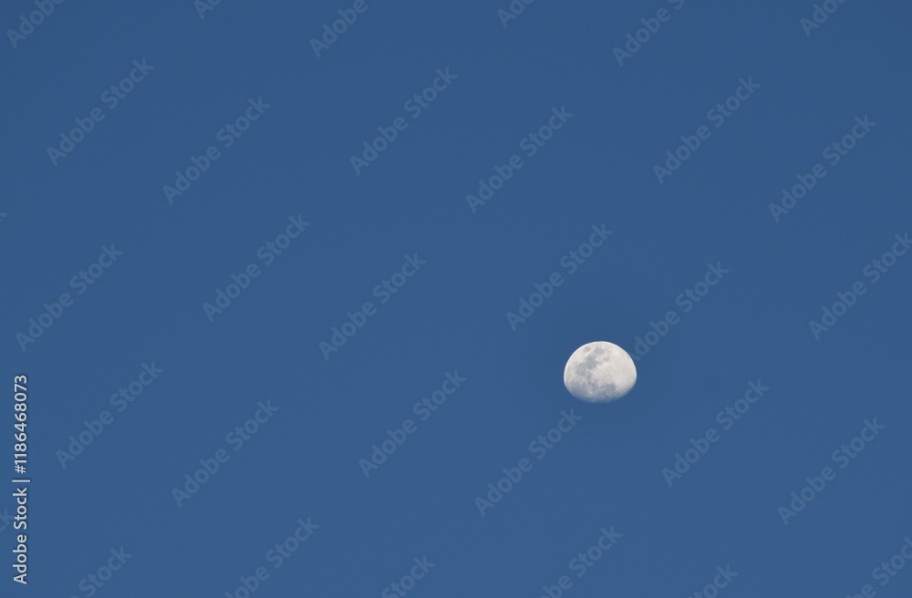 Wall mural half moon floating on blue sky in twilight background