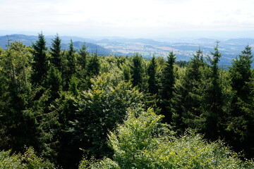View from Kalenica Mountain - Owl Mountains, Poland